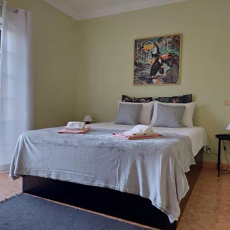 Margot: Grande Moradia Com Piscina